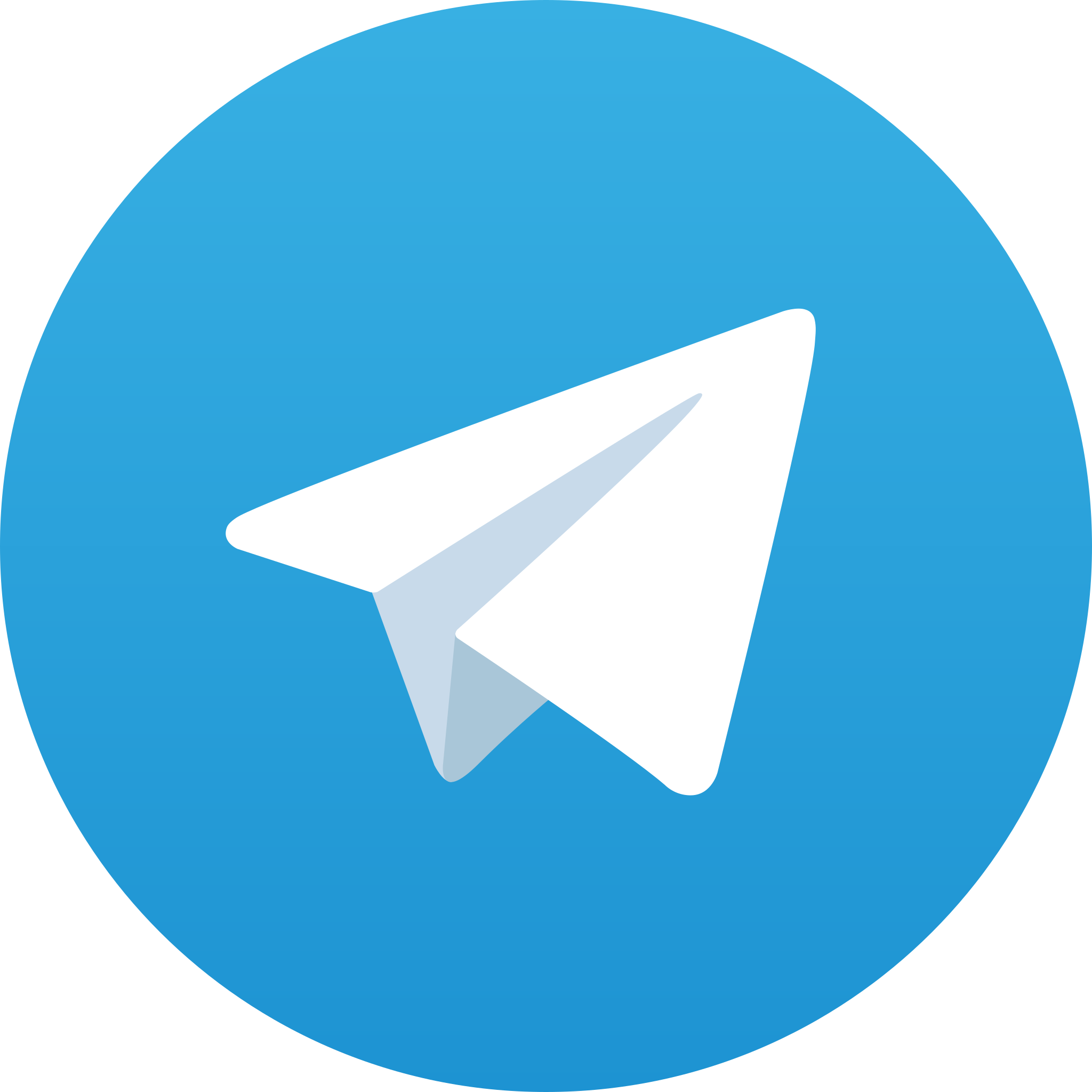 My Telegram profile